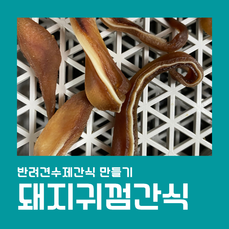  돼지귀 강아지 수제간식 만들기
