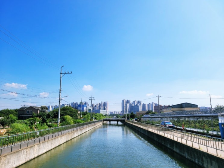 사우동 조용하고 이색적인 카페 "카페위덴" 커피를 사면 치약을 준다?