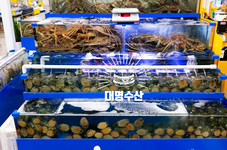  [권선동맛집] 수원킹크랩시세 잘하는 대명수산으로 가보세요