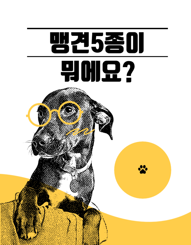  [동물보호법 바로알기4편] 맹견 5종이 뭐에요? 보험과 교육은 꼭 이수해야 하나요?