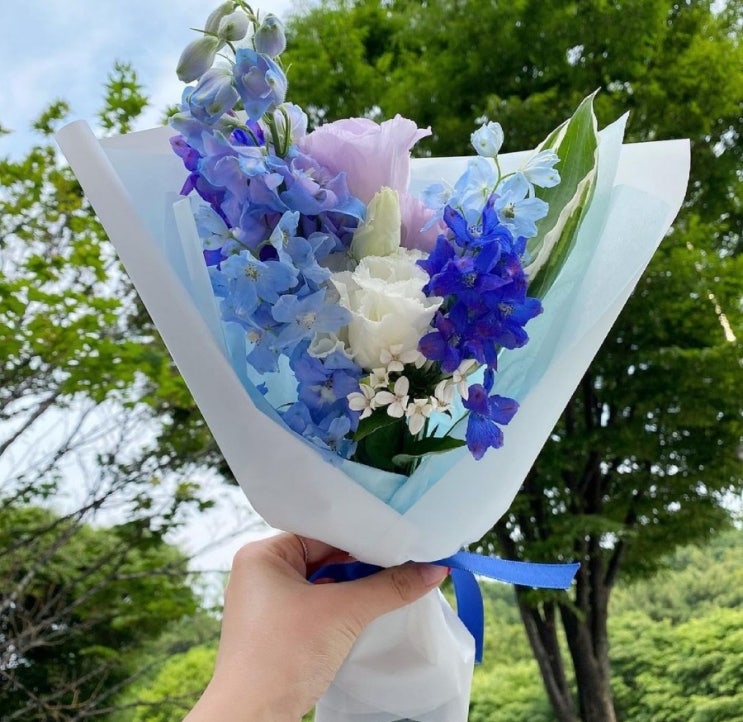  T멤버쉽 꾸까 꽃 정기구독 소개 (8월 sk텔레콤 티데이 쉽게 정리)