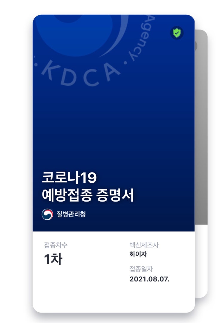 30대 여성 화이자 1차 후기 (접종 과정, 주의사항 등)