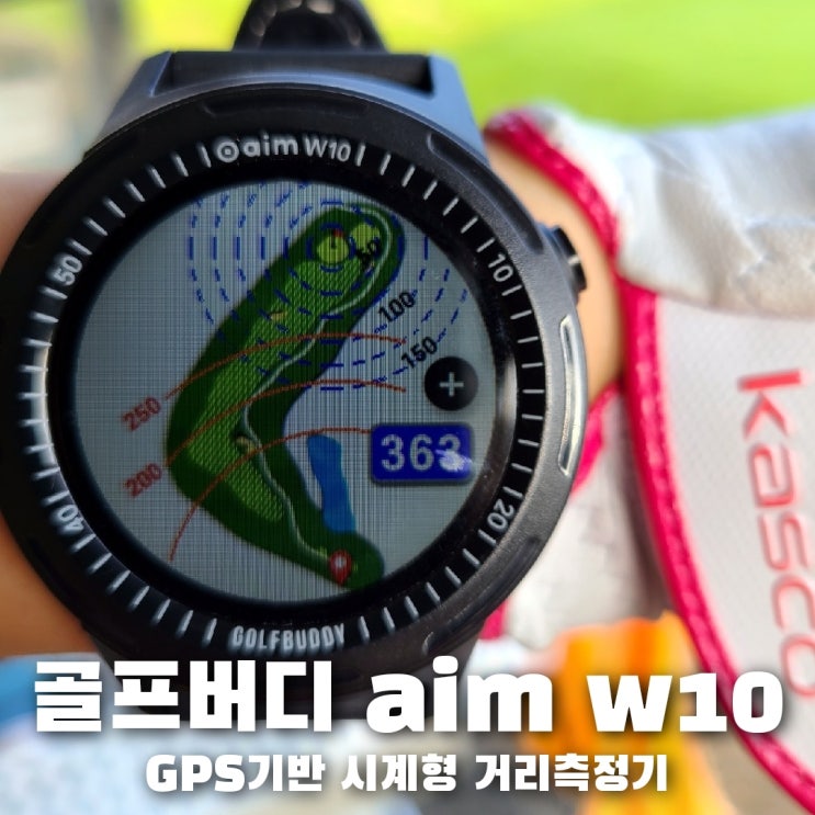  GPS 시계형 골프 거리측정기, 골프버디 aim w10 구매 후 8개월 사용후기