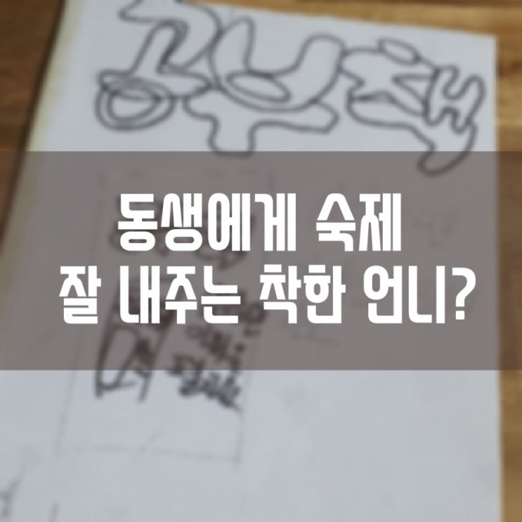  동생에게 숙제 잘 내주는 착한 언니?