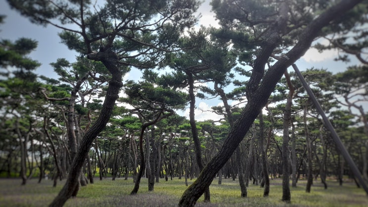  휴가 동안 느낀 행복 그리고 여유