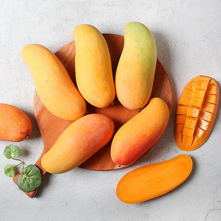 리뷰가 좋은 장보남 마하차녹 무지개 망고 5kg 12-14과 5kg 16-18과, 마하차녹 무지개 망고 5kg(16-18과) 추천해요 리뷰가 좋은 장보남 마하차녹 무지개 망고 5kg 12-14과 5kg 16-18과, 마하차녹 무지개 망고 5kg(16-18과) 추천해요