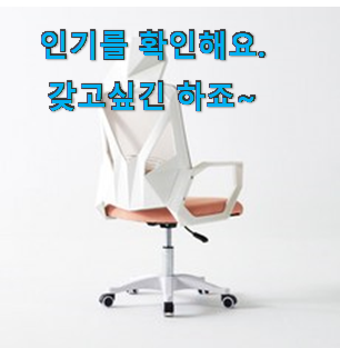 알짜배기 시디즈의자 베스트 인싸템 이런건 널리 알리자구요. 알짜배기 시디즈의자 베스트 인싸템 이런건 널리 알리자구요.