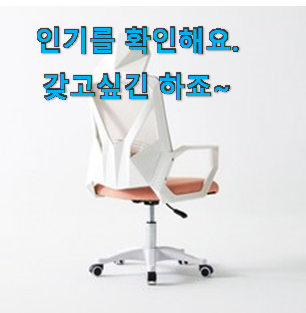 알짜배기 시디즈의자 베스트 인싸템 이런건 널리 알리자구요.