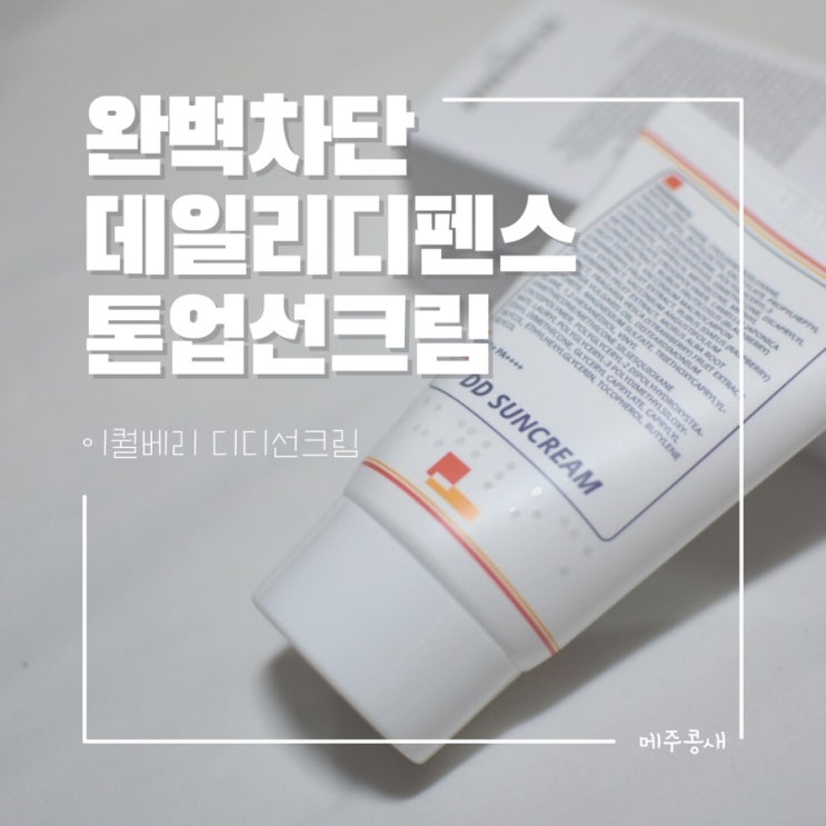  완벽차단 톤업선크림 무기자차선크림 추천 :: 이퀄베리 디디선크림