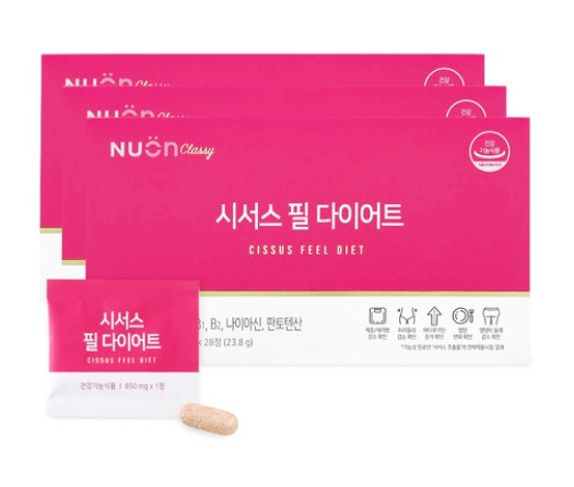 이나영 시서스 필 다이어트
