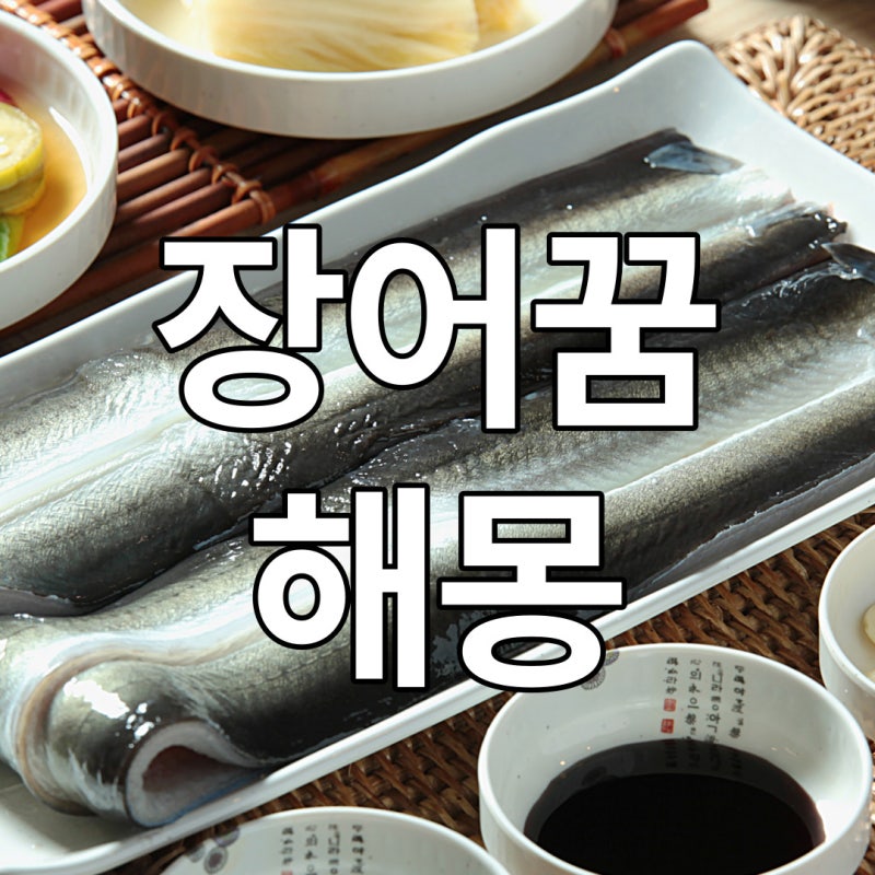 장어꿈 해몽 모음