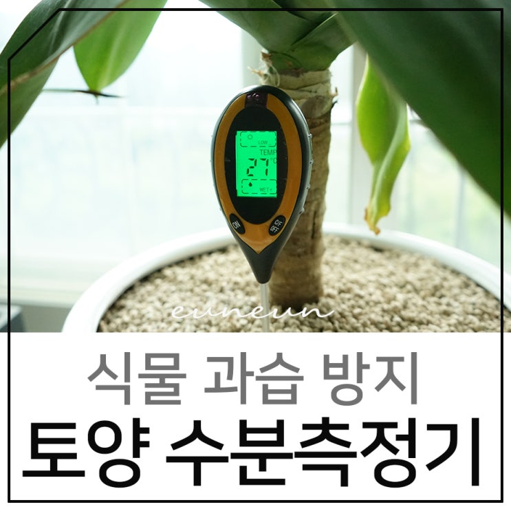  수분측정기로 식물 과습 방지해요