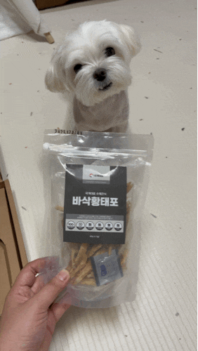  강아지 관절건강과 다이어트와 면역까지!