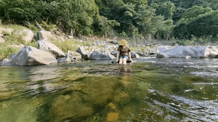 왕피천 숲속 캠핑장 울진에 반하게 만든 왕피천 숲속 캠핑장 울진에 반하게 만든