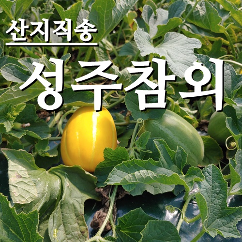 요즘 인기있는 [농부네 부부농장] 싱싱한 성주참외 산지직배송 2.5kg~, 1박스, 13.참외 정품재수용대과 10kg (18과~27과내외) ···