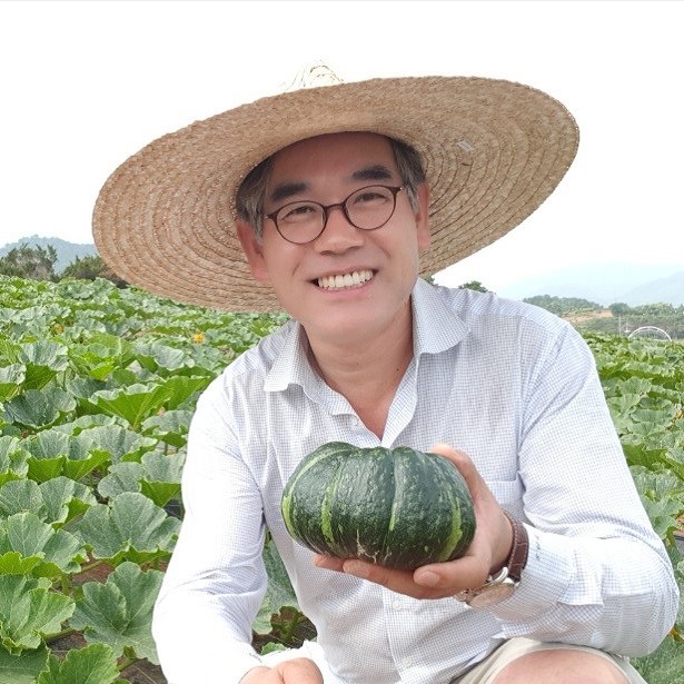인기 많은 나비골 미니밤호박 (무료배송)2021 햇 보우짱, 1박스, 2KG 좋아요 인기 많은 나비골 미니밤호박 (무료배송)2021 햇 보우짱, 1박스, 2KG 좋아요