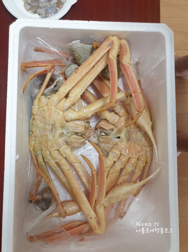  간만에 국내여행 대천해수욕장