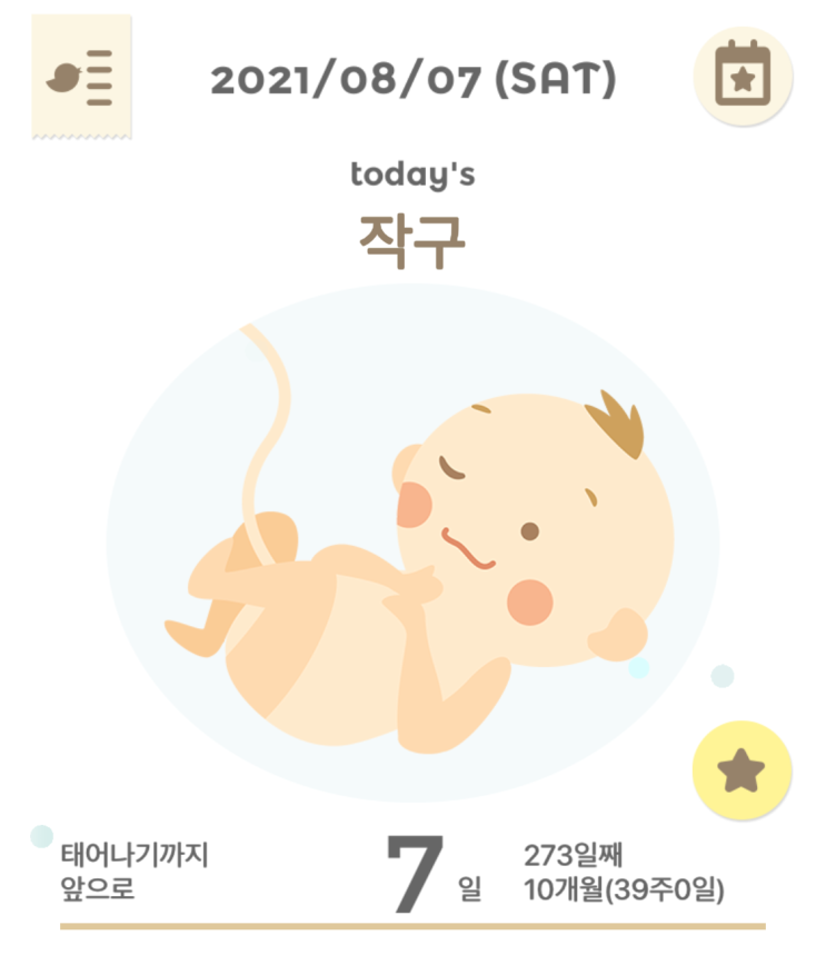 [작구파파 일기] 39주차 이야기