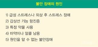 광장공포증 대인기피장애 원인증상 셀프자가진단법 비교차이점 사회불안공포 인지행동 점진적노출치료 SSRI