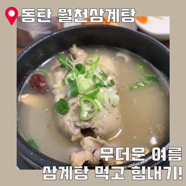  복날엔 잊지말고 삼계탕! 깔끔한 동탄 월천삼계탕