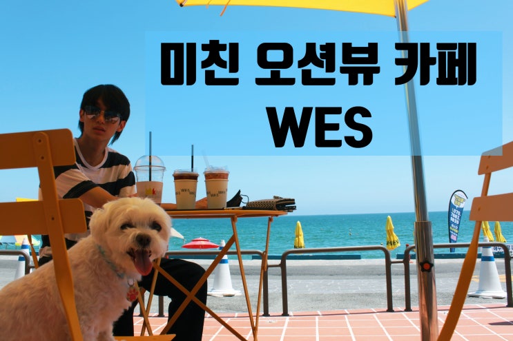  [부산 기장] 바다뷰 카페 WES