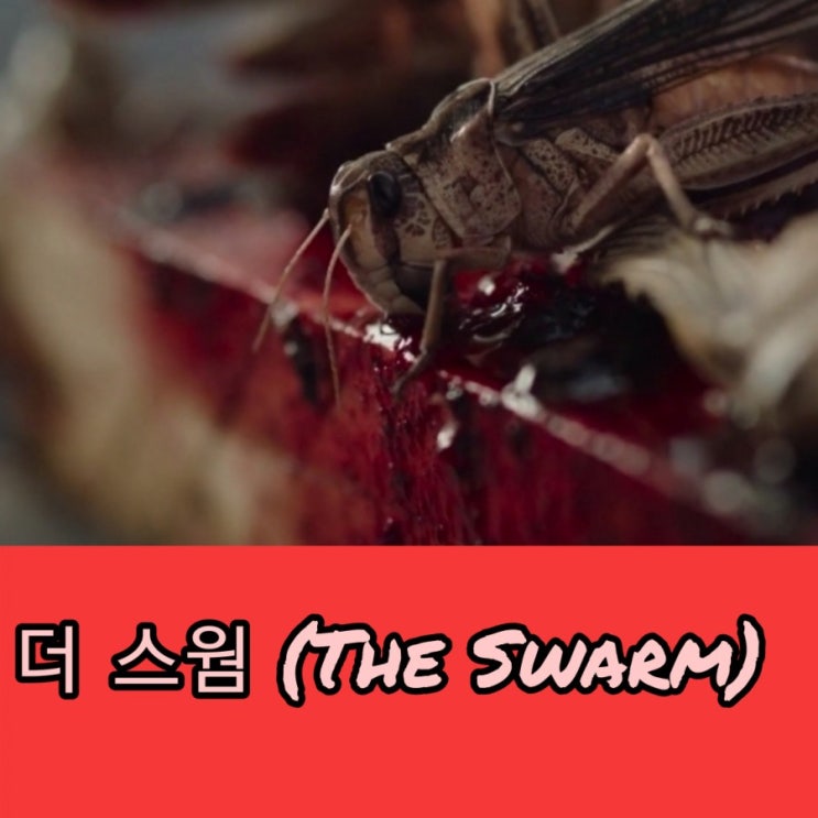8월 넷플릭스 신작 영화  더 스웜 The Swarm 결말포함 리뷰
