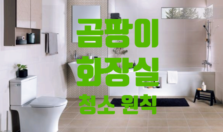  곰팡이 낀 화장실 누구나 깨끗하게 청소하는 방법