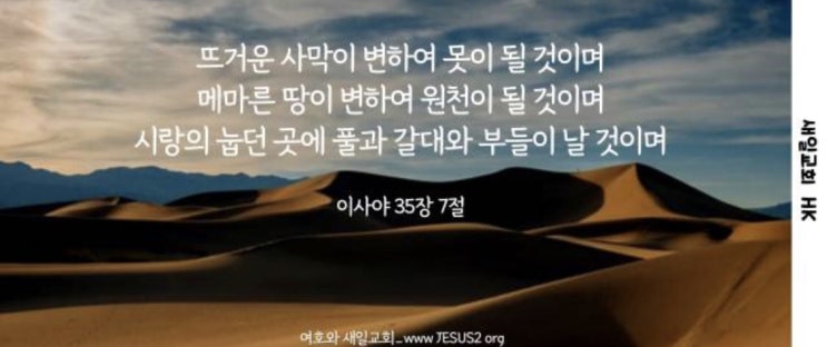  새일교회 ㅣ 주의 인도를 따르는 복된 가정