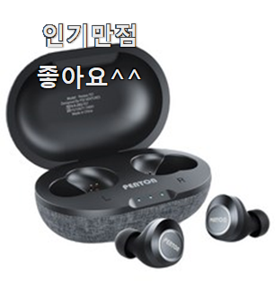  너무 갖고싶은 블루투스이어폰 물건 리스트 와이프가 인정하네요