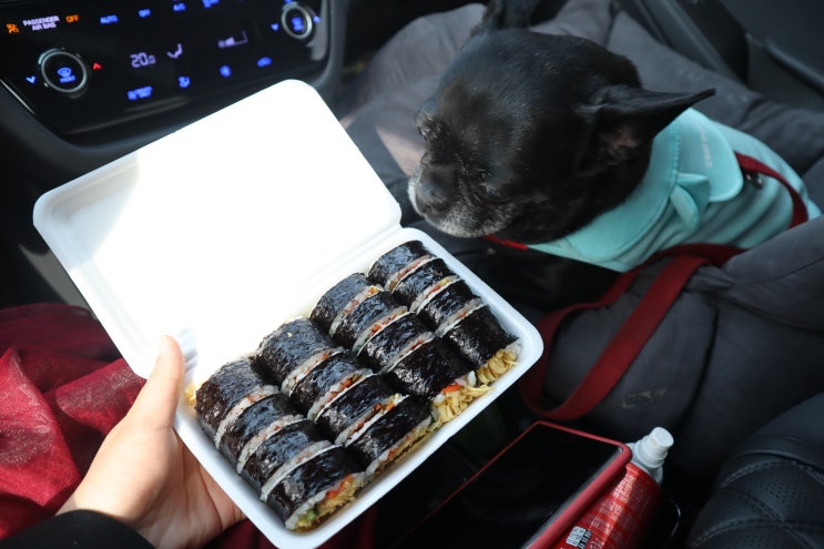  경주 교리김밥 먹어봤어요