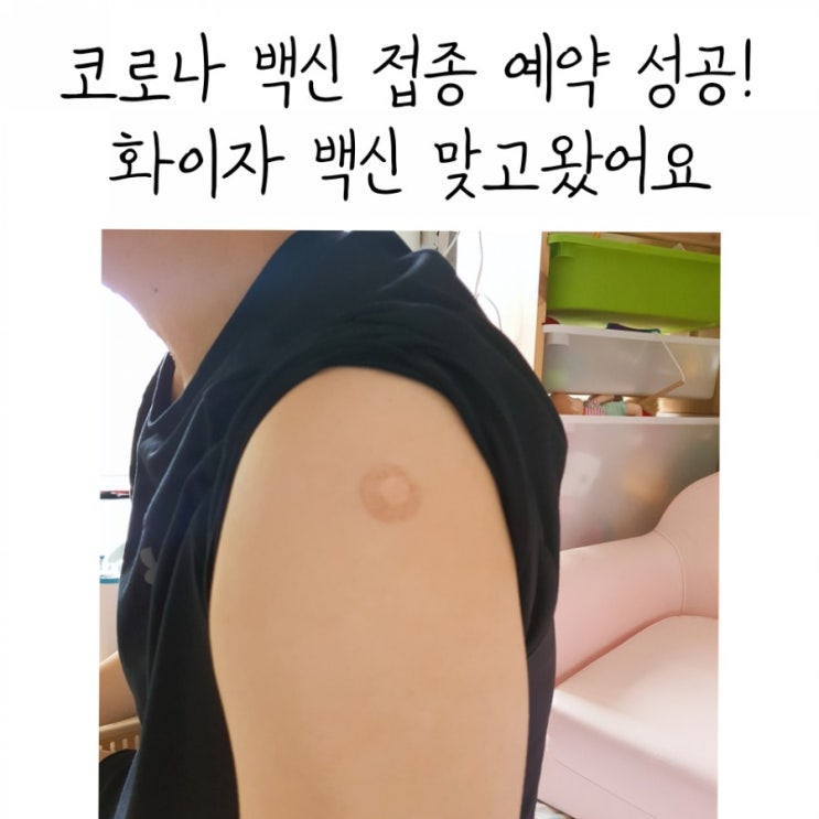  코로나 백신 접종 예약 성공!  화이자 백신 맞고왔어요