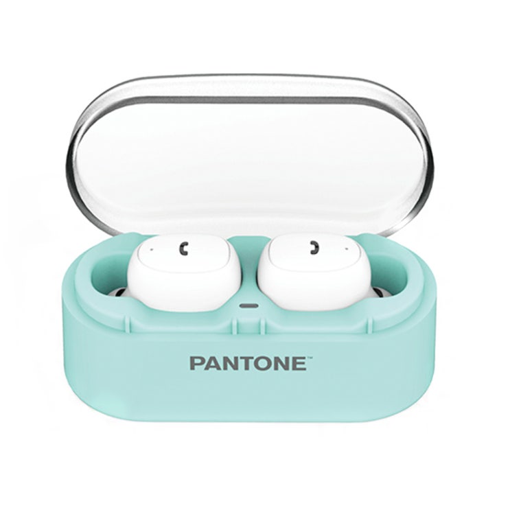 가성비 좋은 PANTONE 블루투스 이어폰 PTB-01, 민트, 1개 추천해요