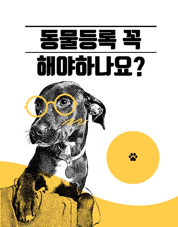  [동물보호법 바로알기3편] 동물등록 꼭 해야하나?