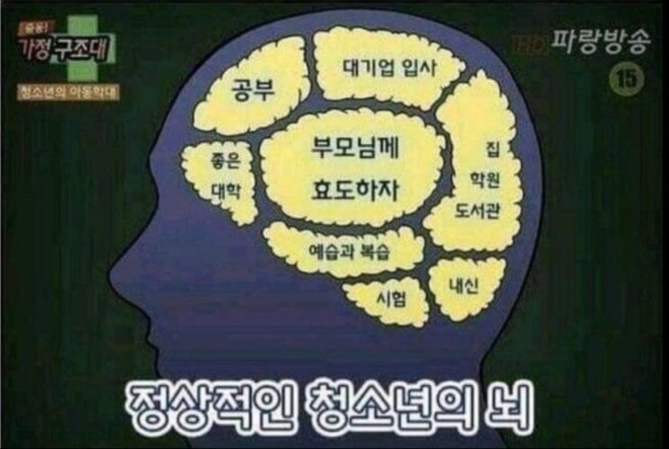 정상적인 뇌 VS 게임하는 뇌
