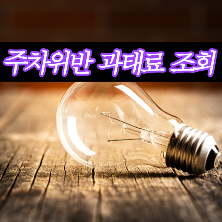  주차위반 과태료 조회 및 스쿨존 주정차금지구역
