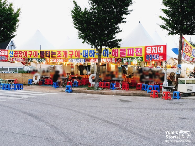  은지네 곰장어, 코와붕가 피자집 - 하조대 해수욕장 먹방 리스트