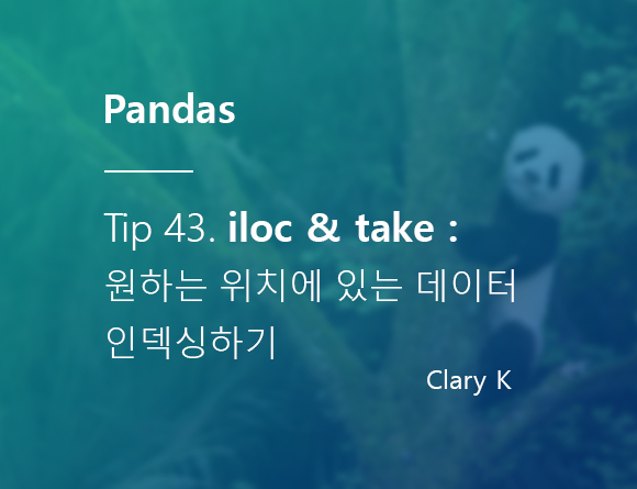 [파이썬] 판다스(pandas) 팁43. 원하는 위치값 정수 기반 인덱싱으로 데이터 선택하기 : iloc & take 사용