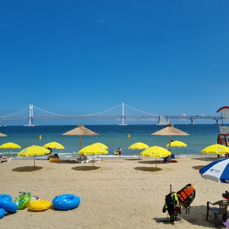  서울 동생 부산여행시켜주기 [1박 2일 부산여행 코스, 광안리. 초량.]