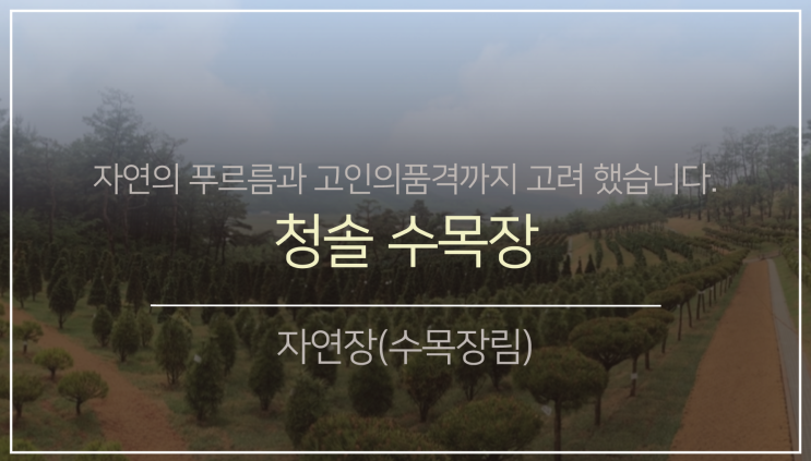 서부권 자연장지2. (feat.청솔 수목장)