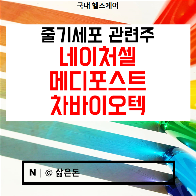  네이처셀 메디포스트 차바이오텍 주가 전망 - 줄기세포 관련주