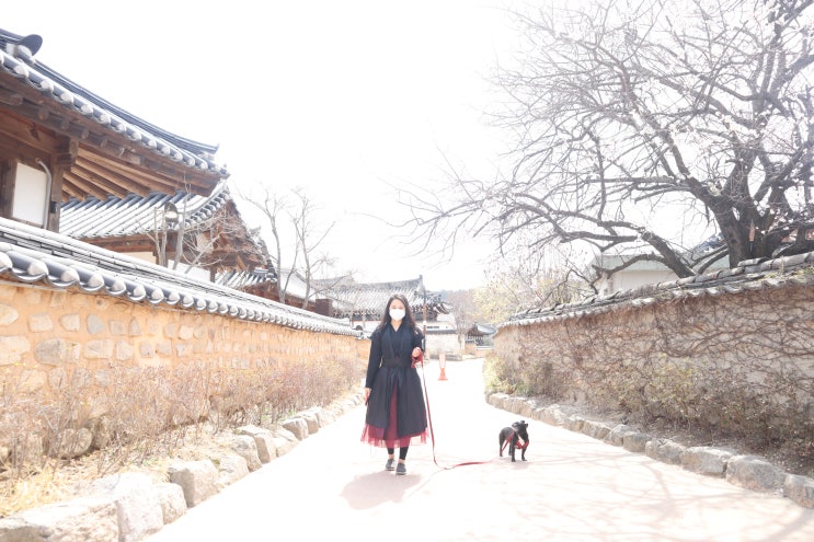  경주 애견동반 가볼만한곳 리스트 교촌한옥마을 & 첨성대 & 월정교