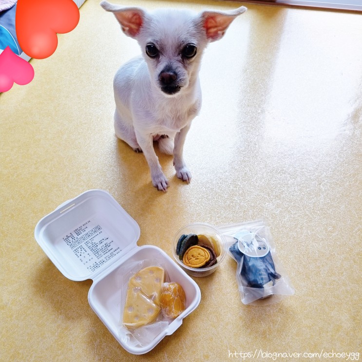 [반려동물] 강아지 수제간식, 강아지건조간식 "꾸메까까의 단호박 치즈케이크, 코코넛 쿠키, 한우 소간칩"