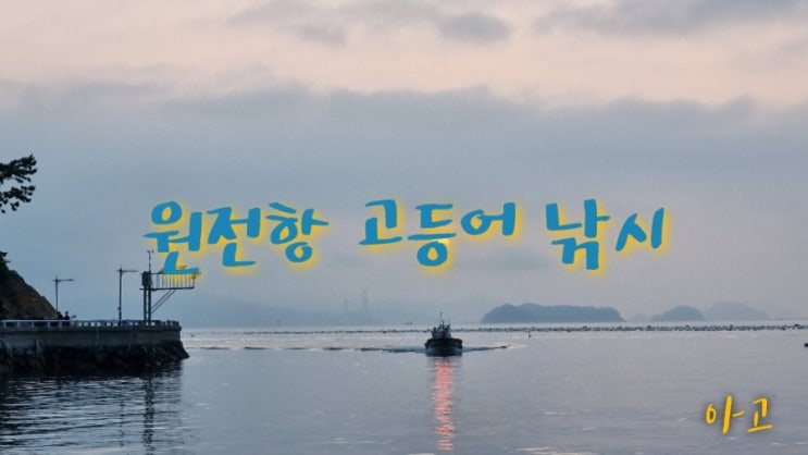  마산 원전항 고등어 좌대낚시 세월을 낚았어요