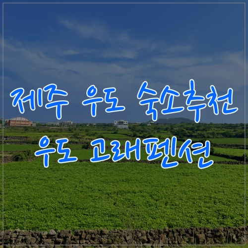  하고수동해수욕장과 가까운 우도 고래펜션