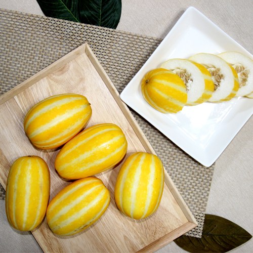 의외로 인기있는 참외 초특가 100개 한정 10kg 5kg 2kg 성주 참외 가정용 고품질, 10kg (가정용) ··· 의외로 인기있는 참외 초특가 100개 한정 10kg 5kg 2kg 성주 참외 가정용 고품질, 10kg (가정용) ···
