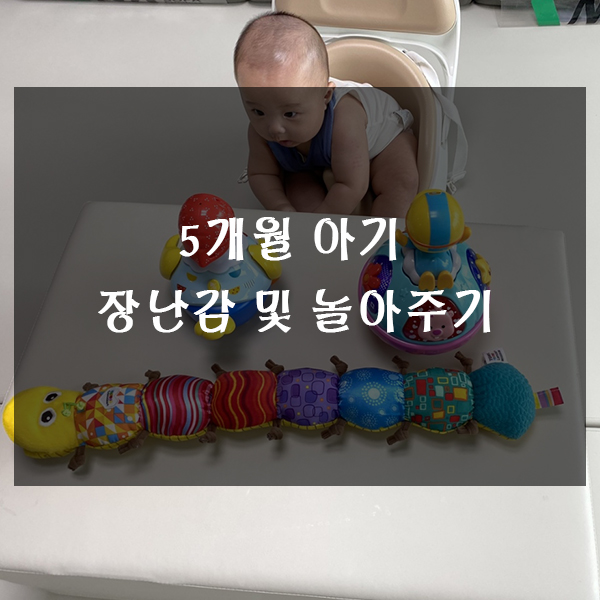  5개월 아기 장난감 및 놀아주기 - 아마존 쏘서, 라라비 스윙점퍼와 그네, 뽀로로 오뚝이, 꼬고맘, 라마즈 애벌레, 오볼