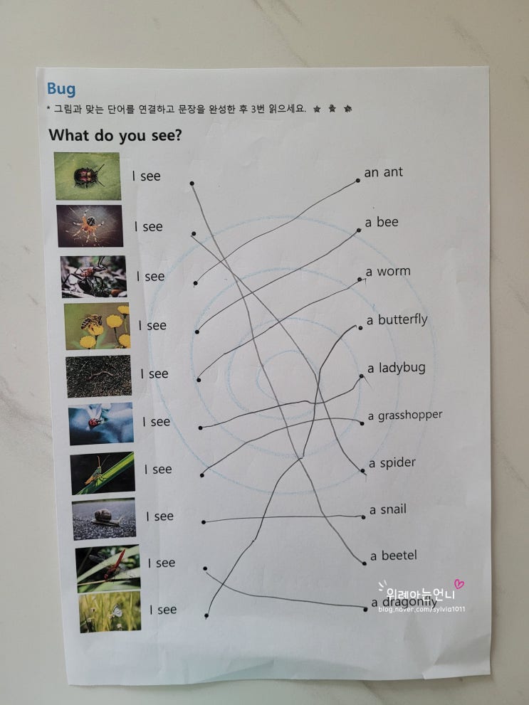  [엄마표영어] Bug 공부하기