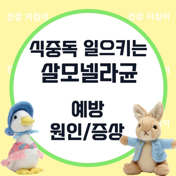  살모넬라균: 여름철 식중독 주의!