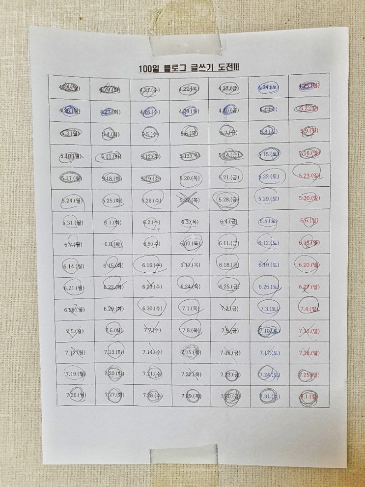  100일간의 네이버 블로그 매일 글쓰기 도전 결과는?