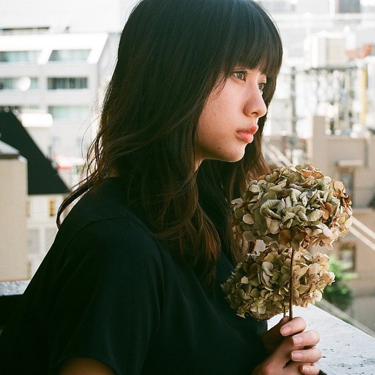  Dry Flower - Yuuri(優里, 유리) [ドライフラワー, 드라이 플라워] / 가사 번역, 듣기